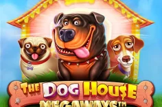Play Dog House Megaways slot at Pin Up